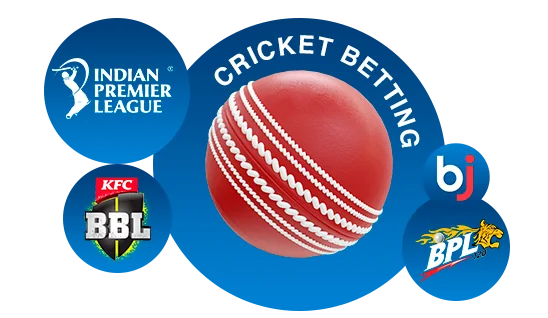 baji-cricket-betting-options
